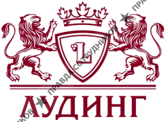 ГК Лудинг