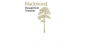Blackwood 