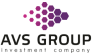 AVS Group