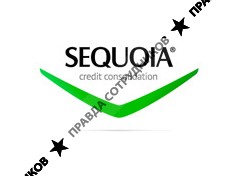 Sequoia Credit Consolidation