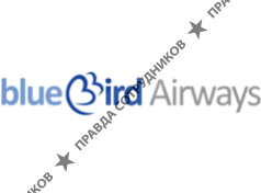 Blue Bird Airways