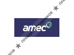 АМЕК Евразия Лимитед, Компания