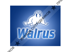 Walrus
