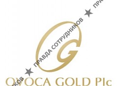Ovoca Gold Plc, Компания