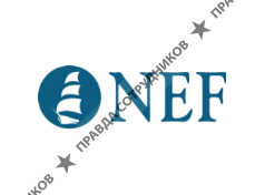 НЕФ-Консалтинг
