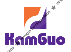 Камбио, Компания