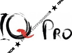 IQ-Pro