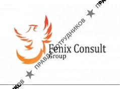 Fenix Consult Group