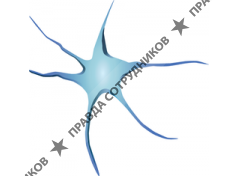 Нейронные системы