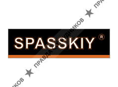 Спасский и Партнеры