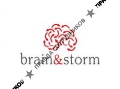 Brain &amp; Storm Inc.