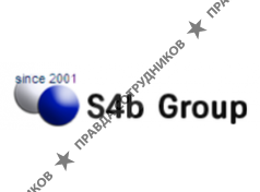 S4b Group