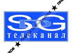 SDG media group