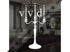 Vividi group