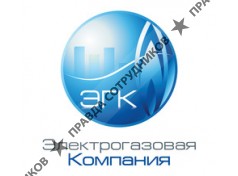Электрогазовая компания