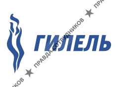 Представитель Центра Гилель