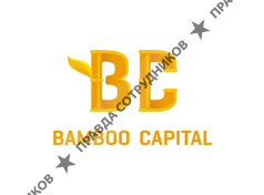 Bamboocapital