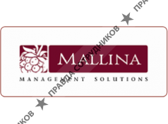 Company Group MALLINA