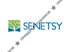 Senetsy