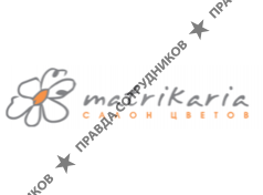 Матрикария, Салон Цветов