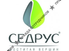ТД Седрус