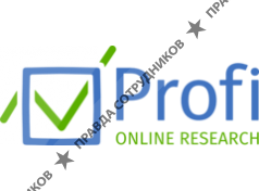 Profi Online Research