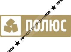 Полюс Золото