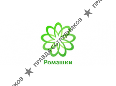 РОМАШКИ, Консалтинговая группа