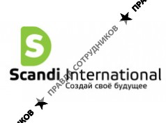 Scandi International