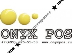 ONYX POS, Company