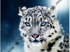 Металл-ГРУПП