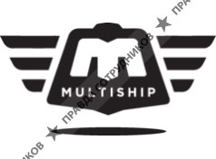 MultiShip