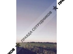Меридиан-Трейд