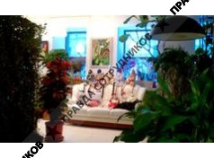 Флора Мастерс