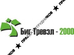 Биг Тревэл 2000