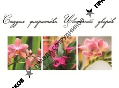 Студия флористики Цветочный Дворик (Бекетова М.Л.)