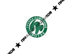 Протэк, Группа Компаний