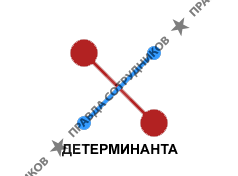 ДЕТЕРМИНАНТА