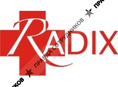 Радикс