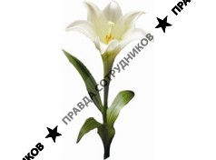 Барсуков А.А.