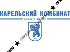 Карельский Комбинат, Группа Компаний