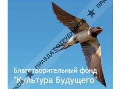 Культура Будущего, Благотворительный фонд