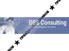 DSS Consulting