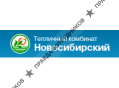 ТК Новосибирский