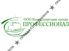 Профессионал, г.Челябинск