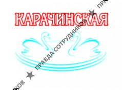 Карачинский источник