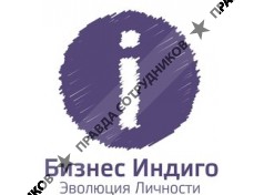 Бизнес Индиго