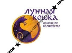 Лунная кошка (Ефимова И. А., ИП)