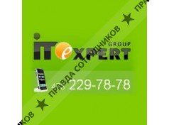 IT Expert Group