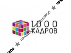 1000 КАДРОВ